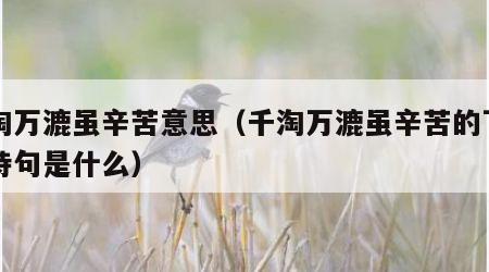 千淘万漉虽辛苦意思（千淘万漉虽辛苦的下一句诗句是什么）