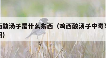 鸡西酸汤子是什么东西（鸡西酸汤子中毒事件原因）