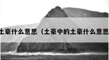 土豪什么意思（土豪中的土豪什么意思）