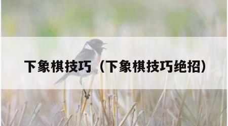 下象棋技巧（下象棋技巧绝招）