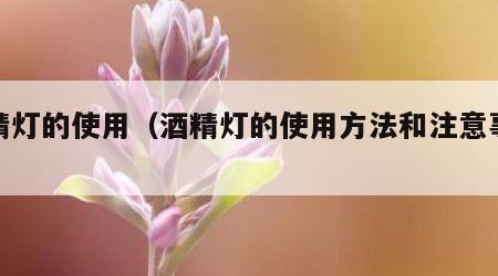 酒精灯的使用（酒精灯的使用方法和注意事项）