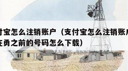 支付宝怎么注销账户（支付宝怎么注销账户教程在勇之前的号码怎么下载）