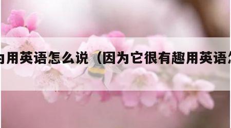 因为用英语怎么说（因为它很有趣用英语怎么说）
