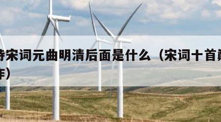 唐诗宋词元曲明清后面是什么（宋词十首巅峰之作）