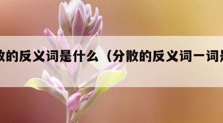 分散的反义词是什么（分散的反义词一词是什么）