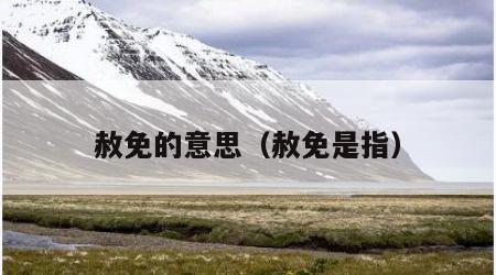 赦免的意思（赦免是指）