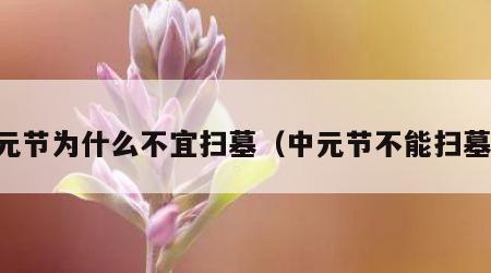 中元节为什么不宜扫墓（中元节不能扫墓吗）