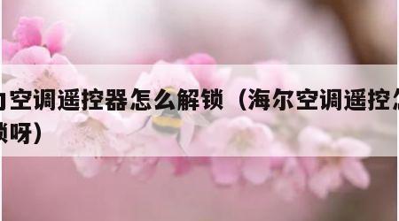 格力空调遥控器怎么解锁（海尔空调遥控怎么解锁呀）