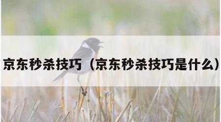 京东秒杀技巧（京东秒杀技巧是什么）