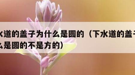 下水道的盖子为什么是圆的（下水道的盖子为什么是圆的不是方的）