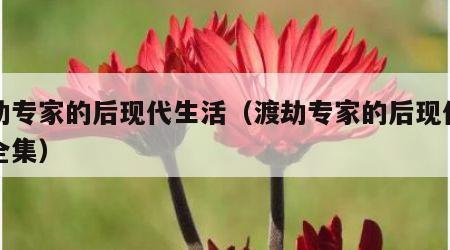 渡劫专家的后现代生活（渡劫专家的后现代生活全集）