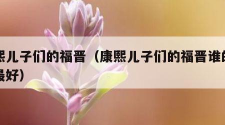 康熙儿子们的福晋（康熙儿子们的福晋谁的出身最好）