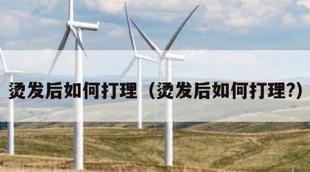烫发后如何打理（烫发后如何打理?）