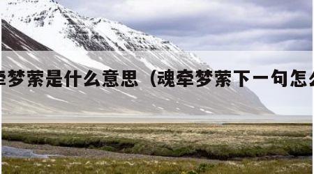 魂牵梦萦是什么意思（魂牵梦萦下一句怎么接）