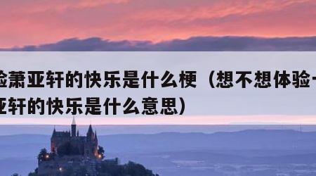体验萧亚轩的快乐是什么梗（想不想体验一把萧亚轩的快乐是什么意思）