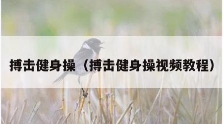 搏击健身操（搏击健身操视频教程）