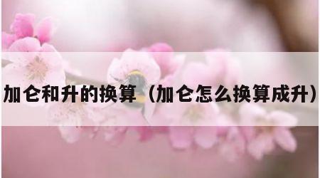 加仑和升的换算（加仑怎么换算成升）