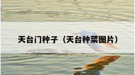 天台门种子（天台种菜图片）