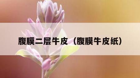 腹膜二层牛皮（腹膜牛皮纸）