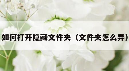 如何打开隐藏文件夹（文件夹怎么弄）