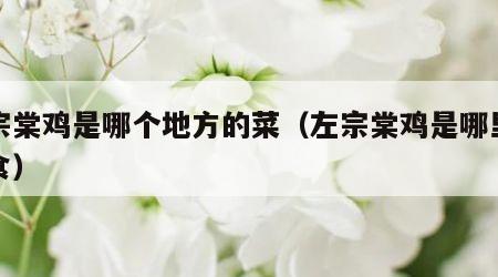左宗棠鸡是哪个地方的菜（左宗棠鸡是哪里的美食）