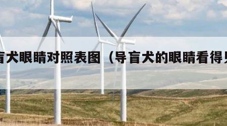 导盲犬眼睛对照表图（导盲犬的眼睛看得见吗）