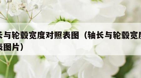 轴长与轮毂宽度对照表图（轴长与轮毂宽度对照表图片）