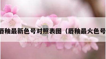 唇釉最新色号对照表图（唇釉最火色号）
