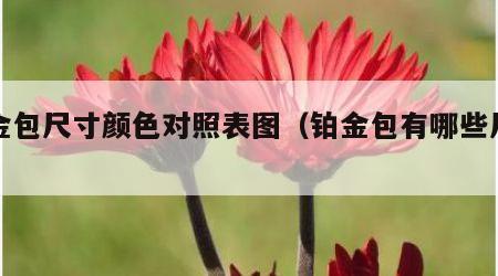 铂金包尺寸颜色对照表图（铂金包有哪些尺寸）