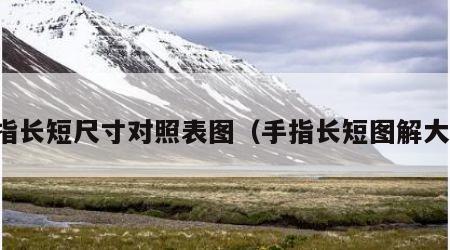 手指长短尺寸对照表图（手指长短图解大全）