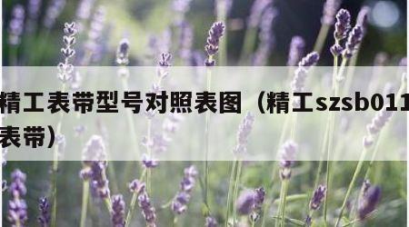 精工表带型号对照表图（精工szsb011表带）