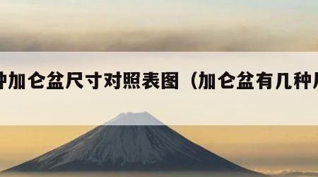 各种加仑盆尺寸对照表图（加仑盆有几种尺寸）