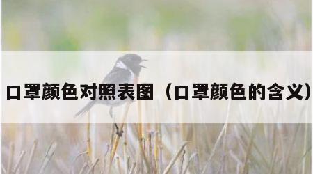 口罩颜色对照表图（口罩颜色的含义）