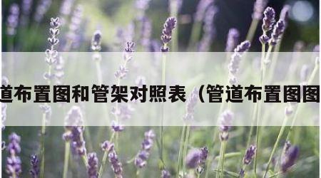 管道布置图和管架对照表（管道布置图图例）