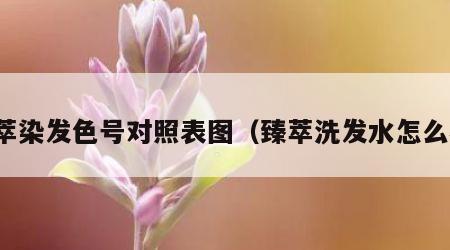 臻萃染发色号对照表图（臻萃洗发水怎么样）