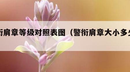 警衔肩章等级对照表图（警衔肩章大小多少号）