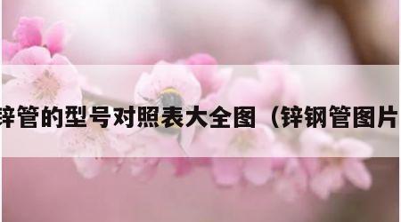 锌管的型号对照表大全图（锌钢管图片）