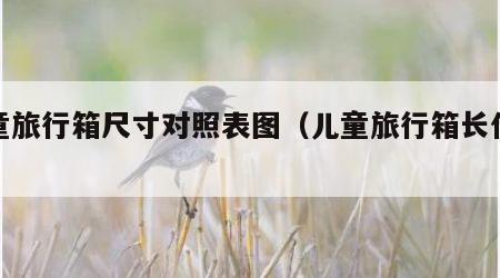 儿童旅行箱尺寸对照表图（儿童旅行箱长什么样）