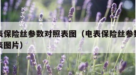 电表保险丝参数对照表图（电表保险丝参数对照表图片）