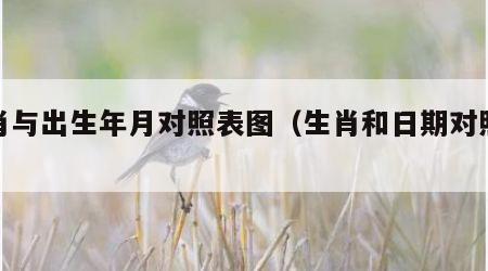 生肖与出生年月对照表图（生肖和日期对照表）