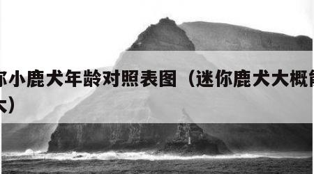 迷你小鹿犬年龄对照表图（迷你鹿犬大概能长多大）