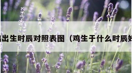 鸡出生时辰对照表图（鸡生于什么时辰好）