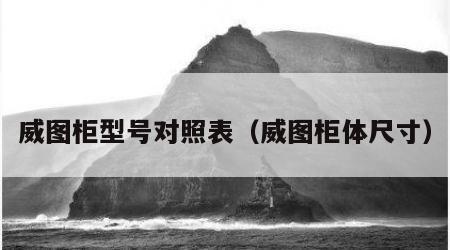 威图柜型号对照表（威图柜体尺寸）