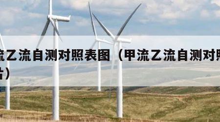 甲流乙流自测对照表图（甲流乙流自测对照表图片）