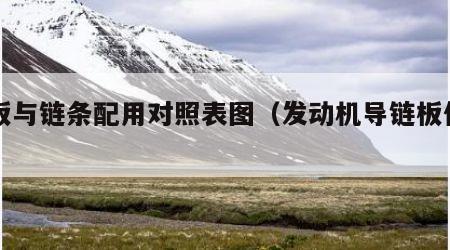导板与链条配用对照表图（发动机导链板作用）