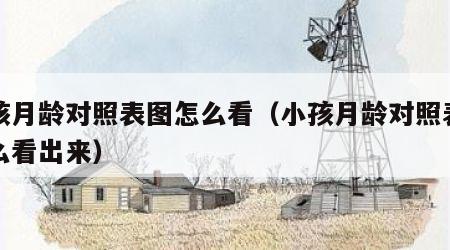 小孩月龄对照表图怎么看（小孩月龄对照表图怎么看出来）