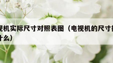 电视机实际尺寸对照表图（电视机的尺寸指的是什么）