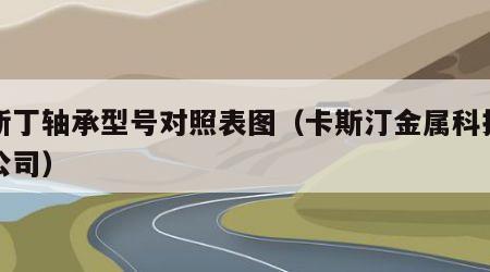 卡斯丁轴承型号对照表图（卡斯汀金属科技有限公司）