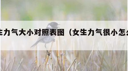 女生力气大小对照表图（女生力气很小怎么办）