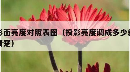 投影面亮度对照表图（投影亮度调成多少就比较清楚）